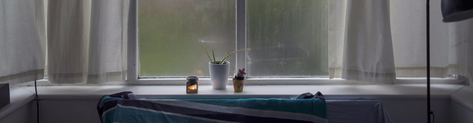 shutterstock_540036568