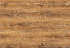 0222_Atacama Cherry_